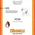 The Equine Chronicle