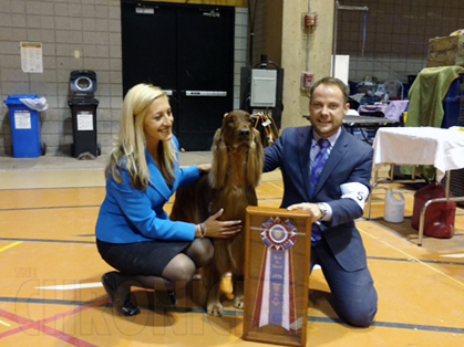 Rockland County Kennel Club – Saturday, February 27, 2016 | Canine Chronicle