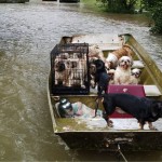 Baton Rouge Flooding Affects Our Dog Show Friends
