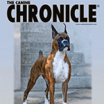 K9_112016_COVER