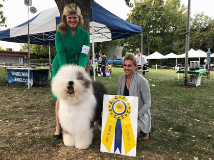Lake County Kennel Club Of Northern California Friday September