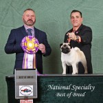 National Breed win