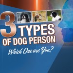 3 Types of Dog