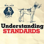 Understanding Standards