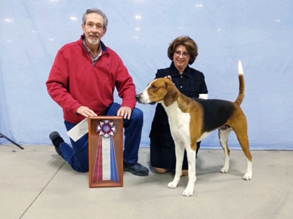 Rockland County Kennel Club – Saturday, February 22, 2020 | Canine Chronicle