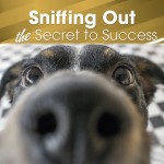Sniffing Out