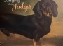F Judging