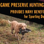 Game Preserve Hunting