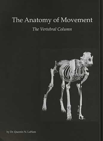 The Anatomy of Movement – The Vertebral Column | Canine Chronicle