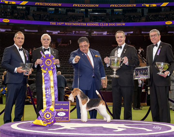 Canine Chronicle Trivia The Westminster Kennel Club Best In Show