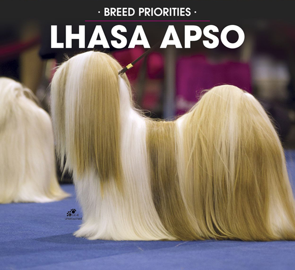 Museum echtgenoot Moedig aan Breed Priorities – Lhasa Apso | Canine Chronicle