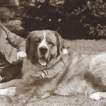 Saint&ownerNYdogshow1930