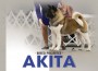 F Akita