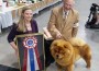 GCh.-Dreamlands-Thrill-of-The-Chase