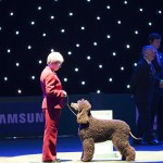 The Worlds Greatest Dog Show