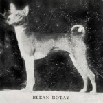 Blean Botay