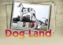 F Dog Land