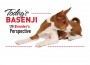 F Today's Basenji