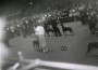 CanineChronicle WKCDobermanRING 1960 3