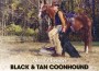 F BP Black & Tan Coonhound