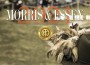 F Morris & Essex