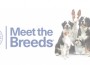 Meet The Breeds