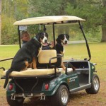 Patrick acting as a personal chauffeur for the girls Caroline & Annabella.