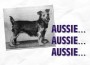 F Aussie