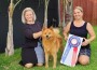 GCH Badgerdens Big Bark Theory