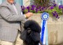 GCH Hightide And A Splash of Tarquin