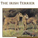 F The Irish Terrier