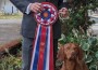 GCH Pursuits Trek To The Triple Crown CGC