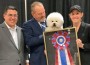 GCHB Dognewss St Bow
