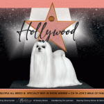 14 Lehman HollywoodOnlineAdAnimated