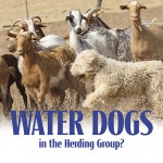 F Water Dogs