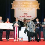 AKC Natl