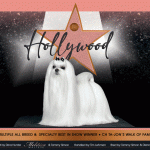 11 HollywoodOnlineAdAnimatedUPDATED