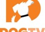 DOGTV-orange-w-text Logo