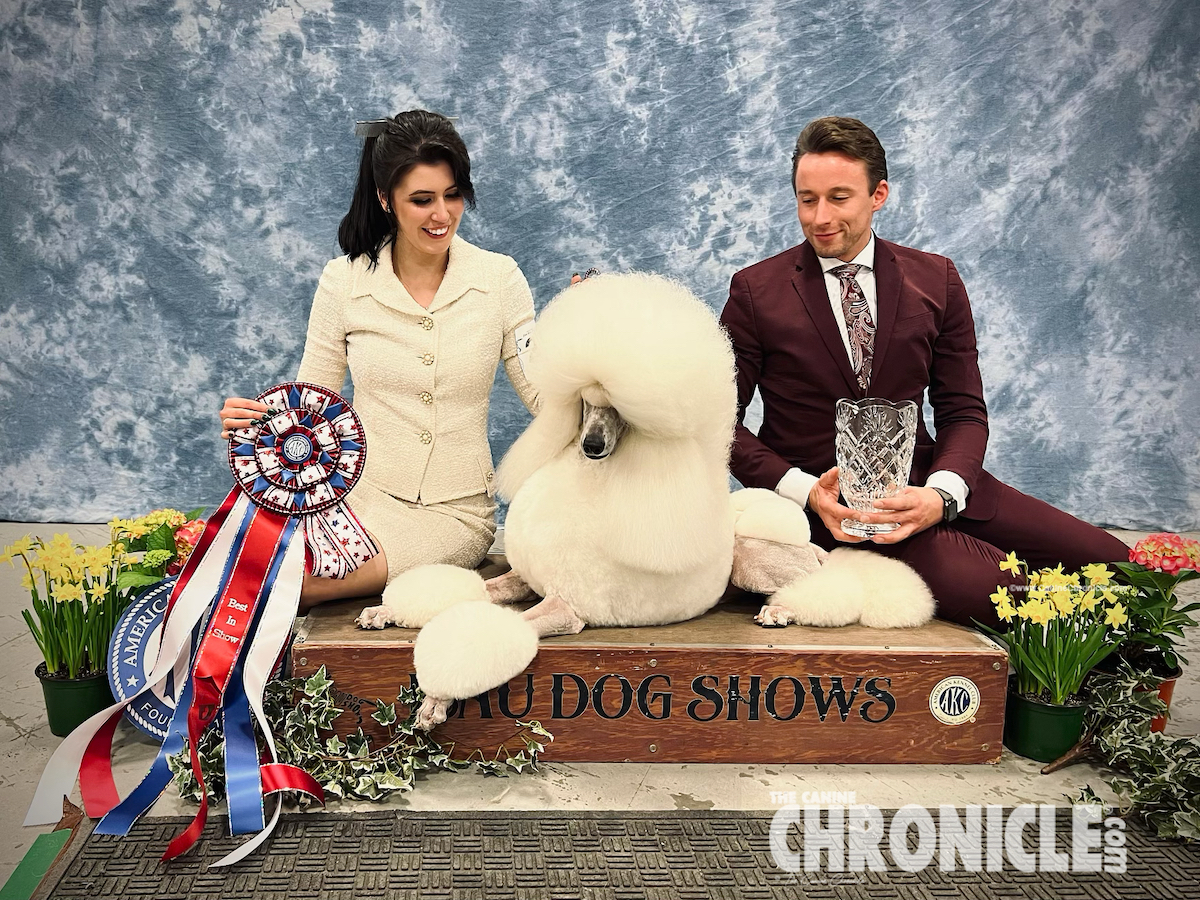 New Brunswick Kennel Club, Inc. Friday, March 25, 2022 Canine Chronicle