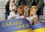 F Ukraine Dogs