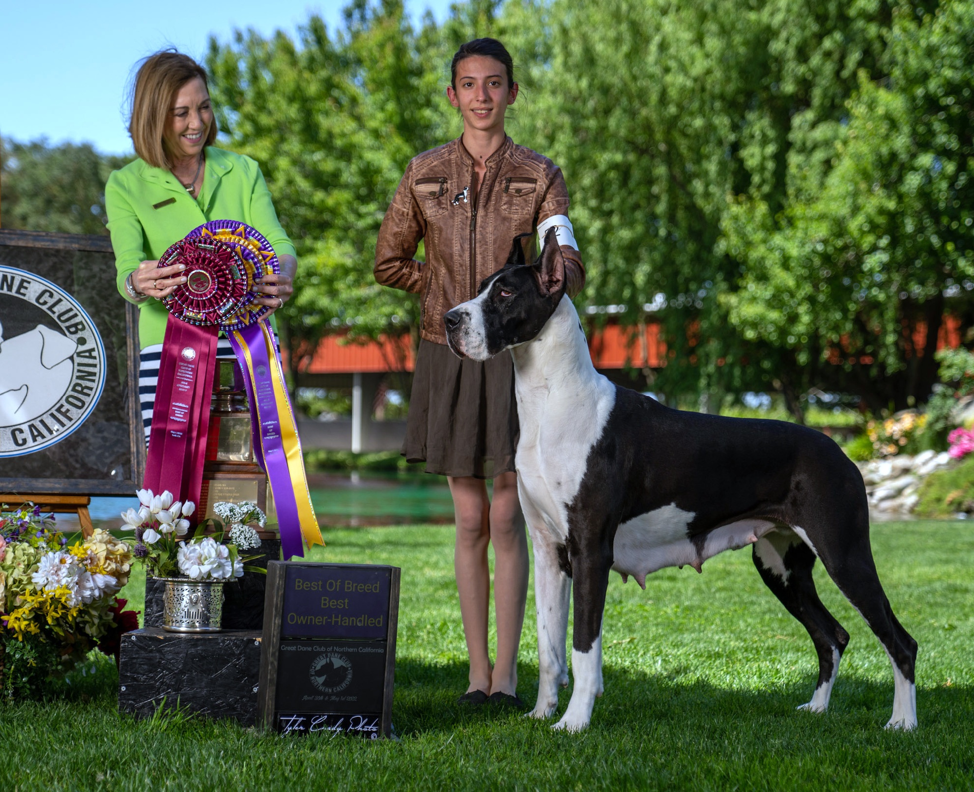 Great Dane Club of Northern California Sunday May 1,2022 Canine