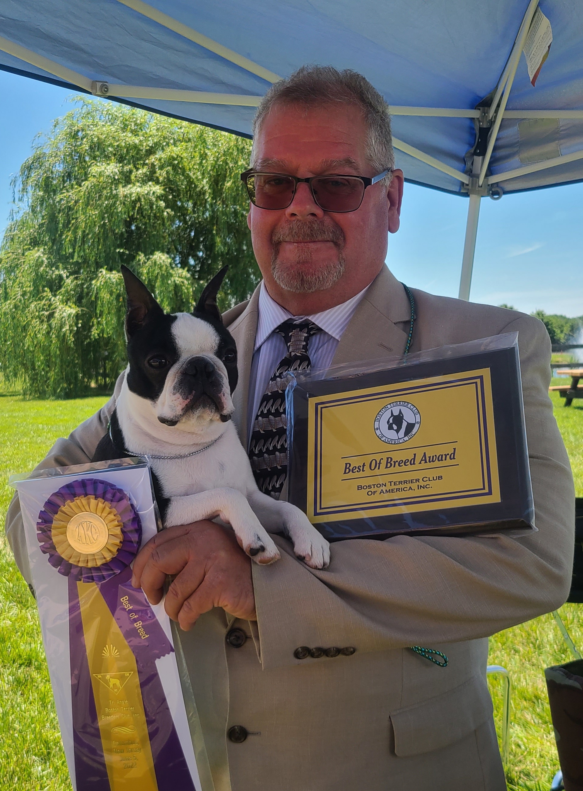 Boston terrier deals show breeders