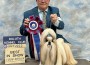 Shih Tzu_Hallmark Jolei Out Of This World