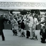 Ric Chashoudian is pictured winning Best In Show at Westminster Kennel Club in 1976, the 100th Anniversary Show, under respected Judge Mr. William W. Brainard, Jr. with Ch. Jo Ni's Red Baron, a Lakeland Terrier owned by Mrs. Virginia K. Dickson of LaHabra, California.