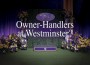 F Owner Handlers Westminster