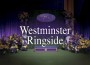 F Westminster Ringside