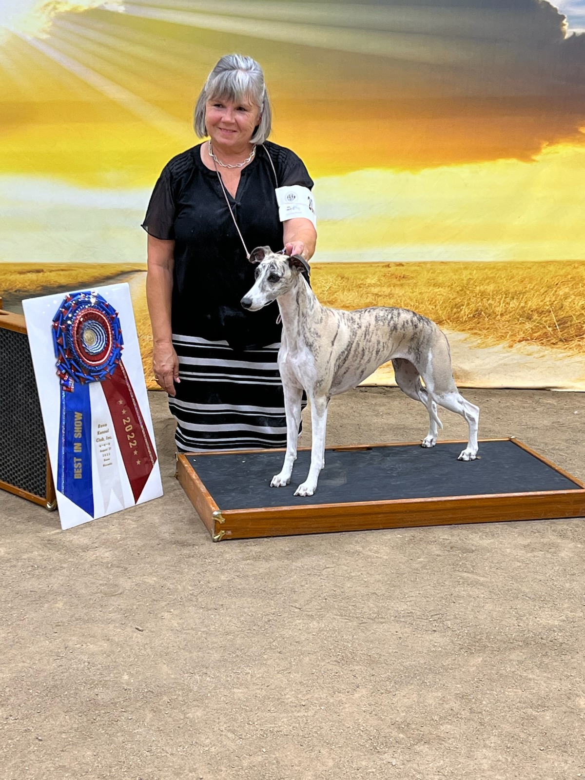 Reno Kennel Club Sunday, August 21, 2022 Canine Chronicle