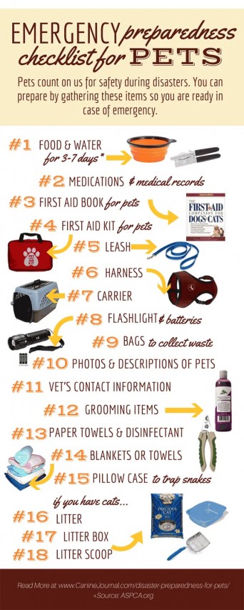 disaster-preparedness-for-pets-infographic-png