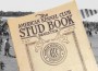 Brooksville-Stud-Book-300x224