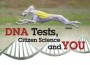 F DNA Tests